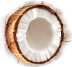 coconut