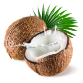 coconut3